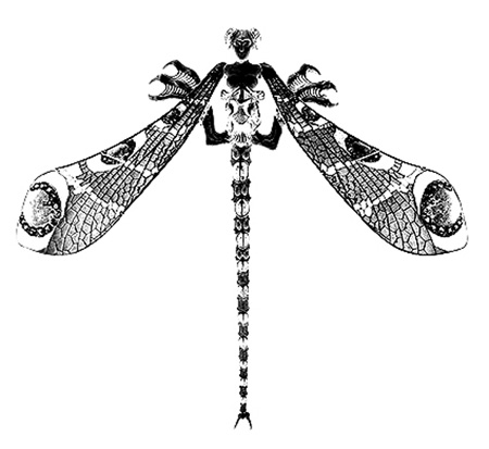 Dragonfly+art+nouveau