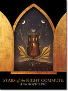 ana-bozicevic-stars-350h